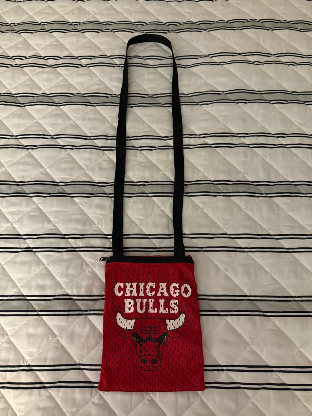 Chicago Bulls NBA Jersey Mesh Pouch Bag Purse Zipper Pro-Fan-Ity Littlearth Mint
